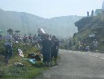 Photo Tour de France 2006 RMC - Adele (141).jpg